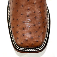 BOTA GOYAZES AVESTRUZ CONHAQUE/ATLANTA CAFÉ