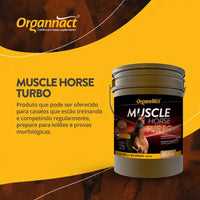 Muscle Horse Turbo